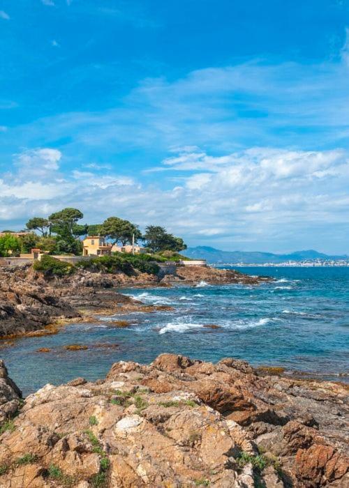 Studio Tout A Pied - Vue Sur Mer Saint Aygulf Eksteriør billede